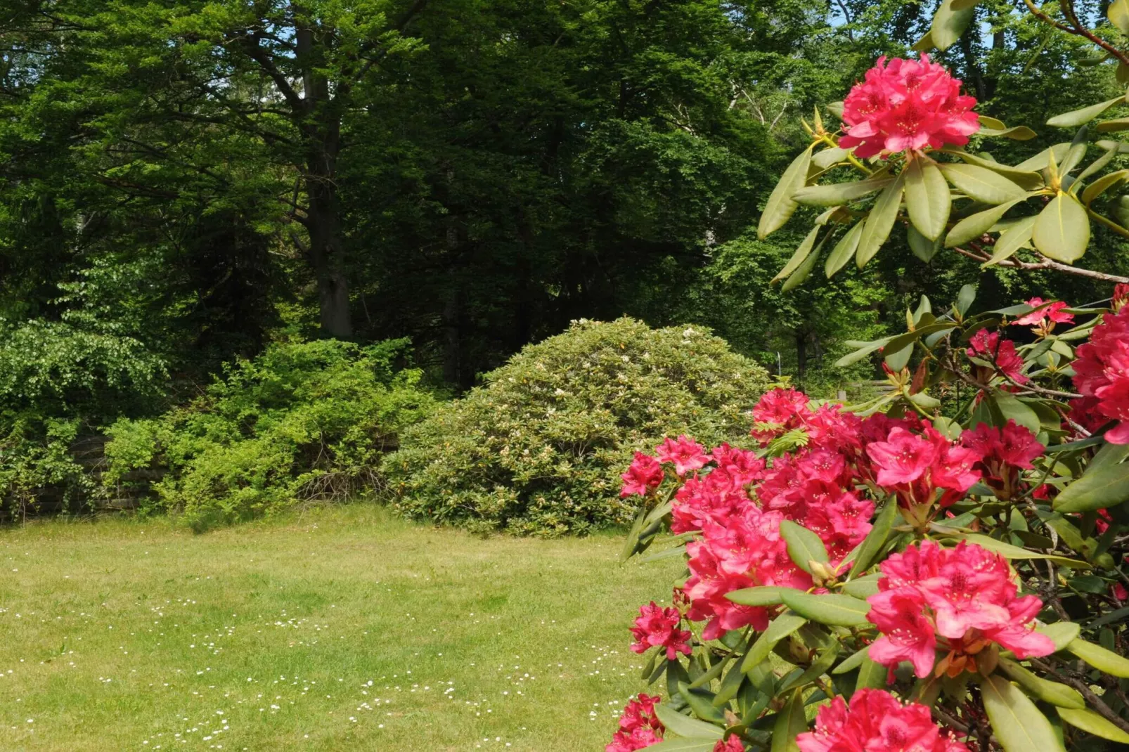 5 sterren vakantie huis in Frederiksværk-Buitenlucht