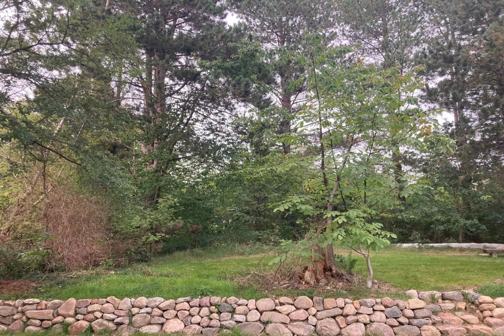 5 sterren vakantie huis in Vejby-Niet-getagd