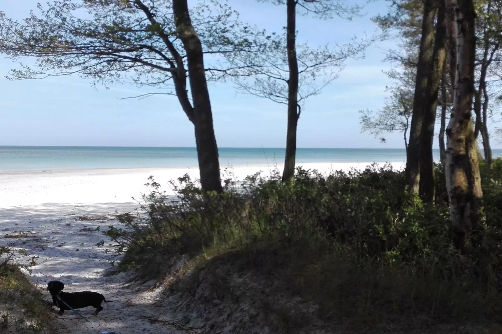 5 sterren vakantie huis in Nexø-Buitenlucht