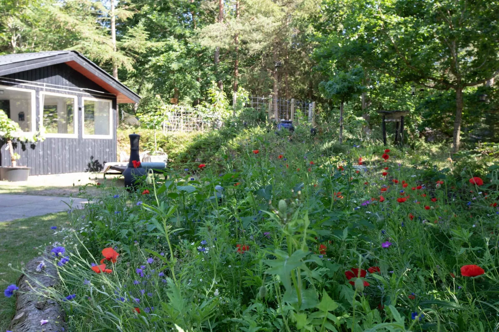 5 sterren vakantie huis in Hadsund-Buitenlucht