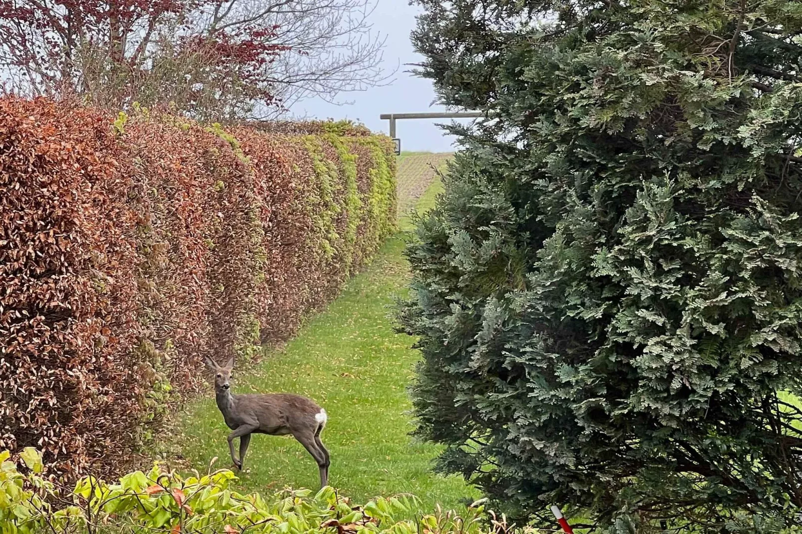 5 sterren vakantie huis in Karrebæksminde-Buitenlucht