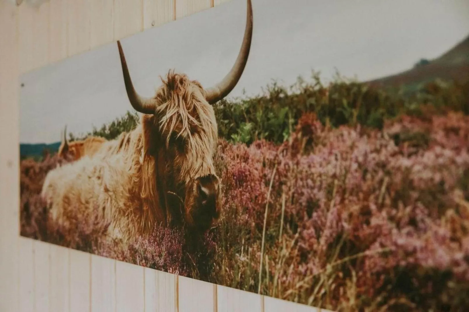 Tiny house XL | 2-4 persoons-Sfeer