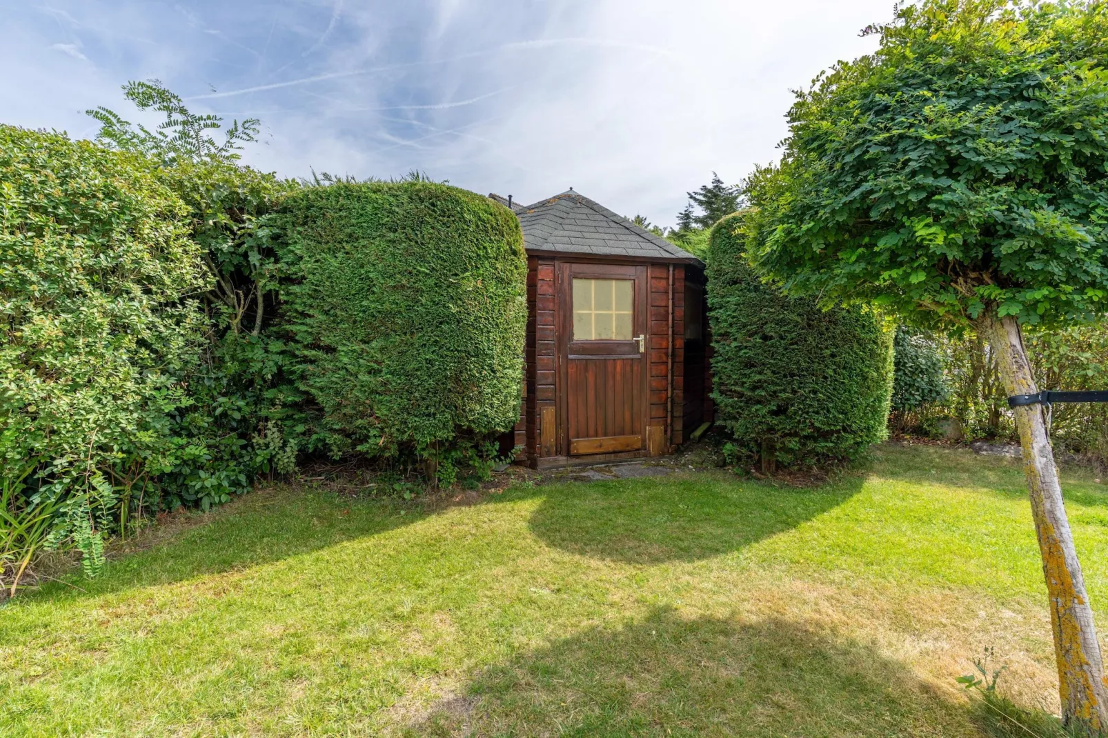 Kamperfoelie 61-Tuinen zomer