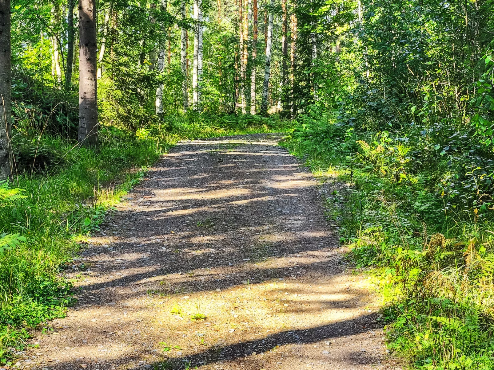 Villa soittoranta-Binnen
