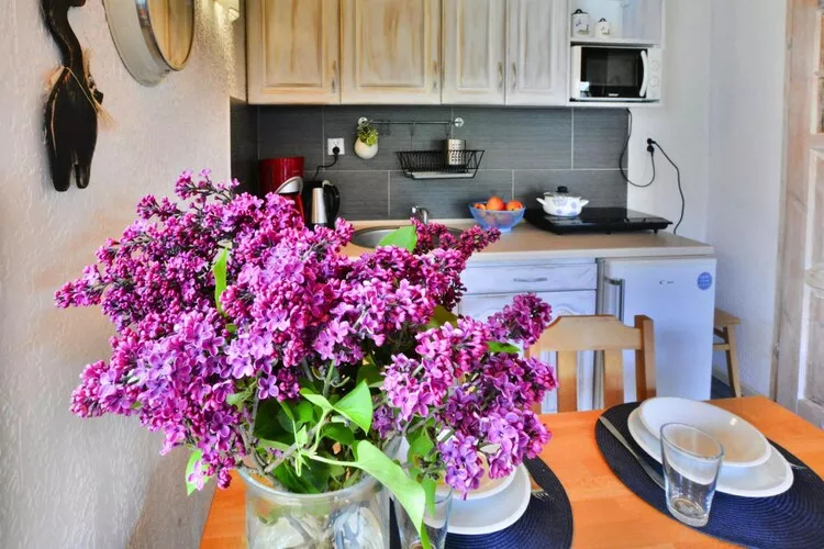 Piętrowe domy wakacyjne Bobolin dla max 3 os-Keuken