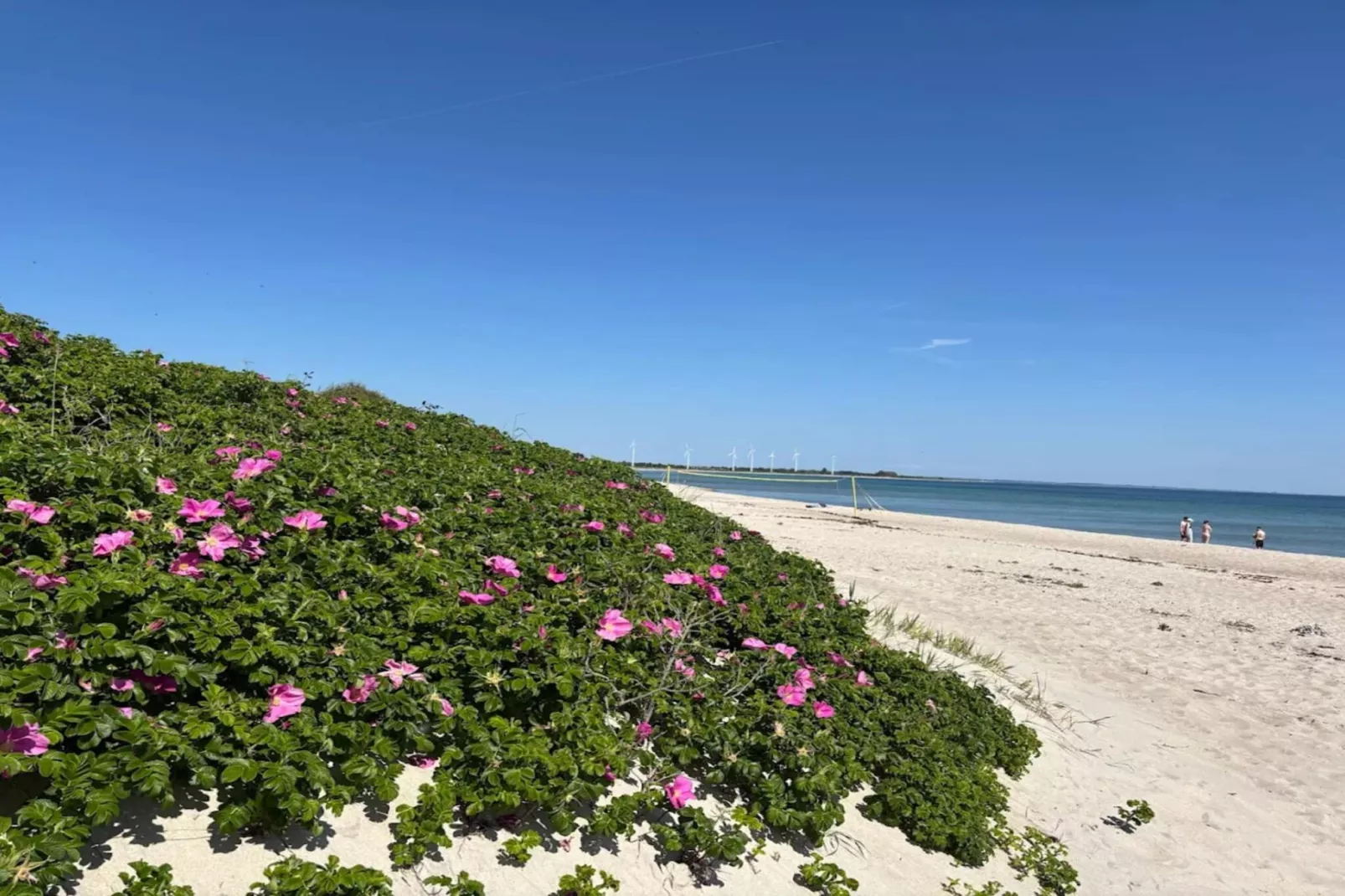 8 persoons vakantie huis in Sydals-Waterzicht