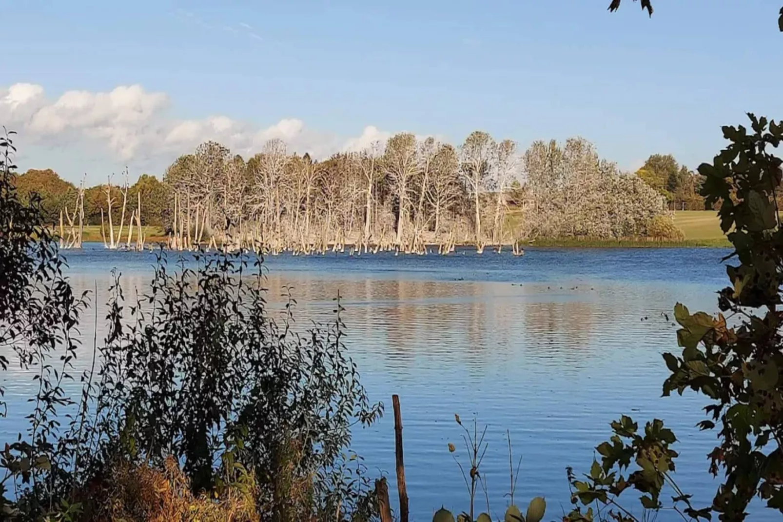 Vakantiehuis nabij Nysted-Waterzicht