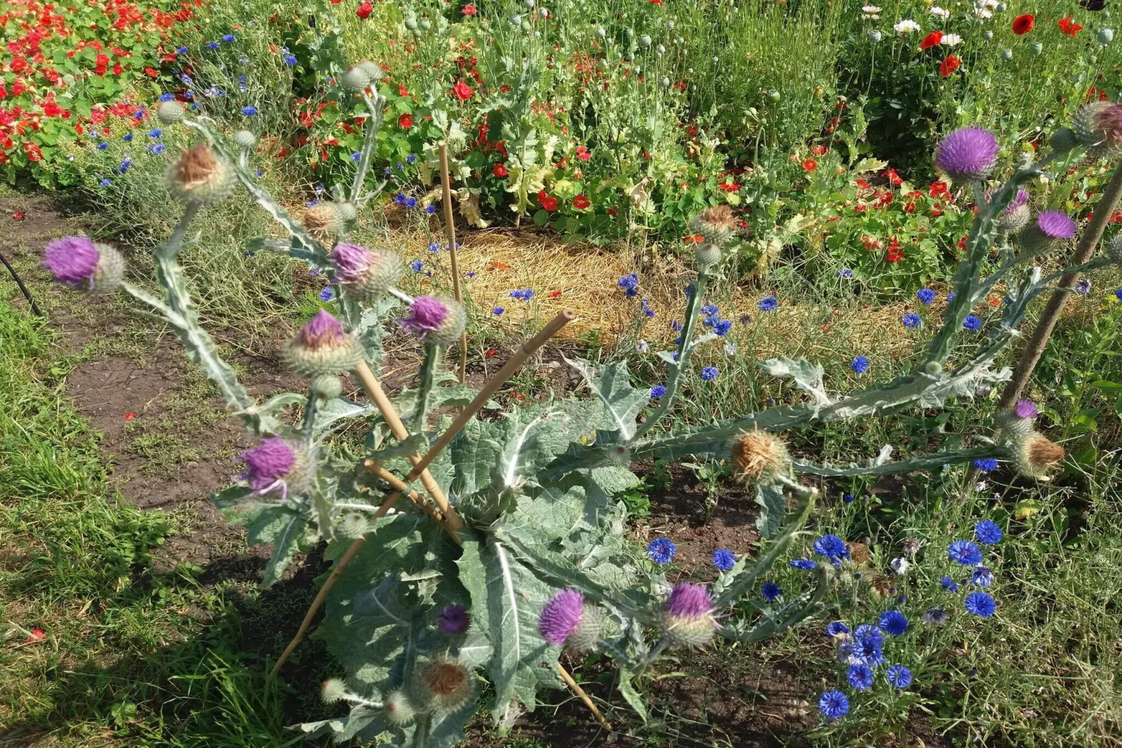 10 persoons vakantie huis in FÄRJESTADEN-Waterzicht