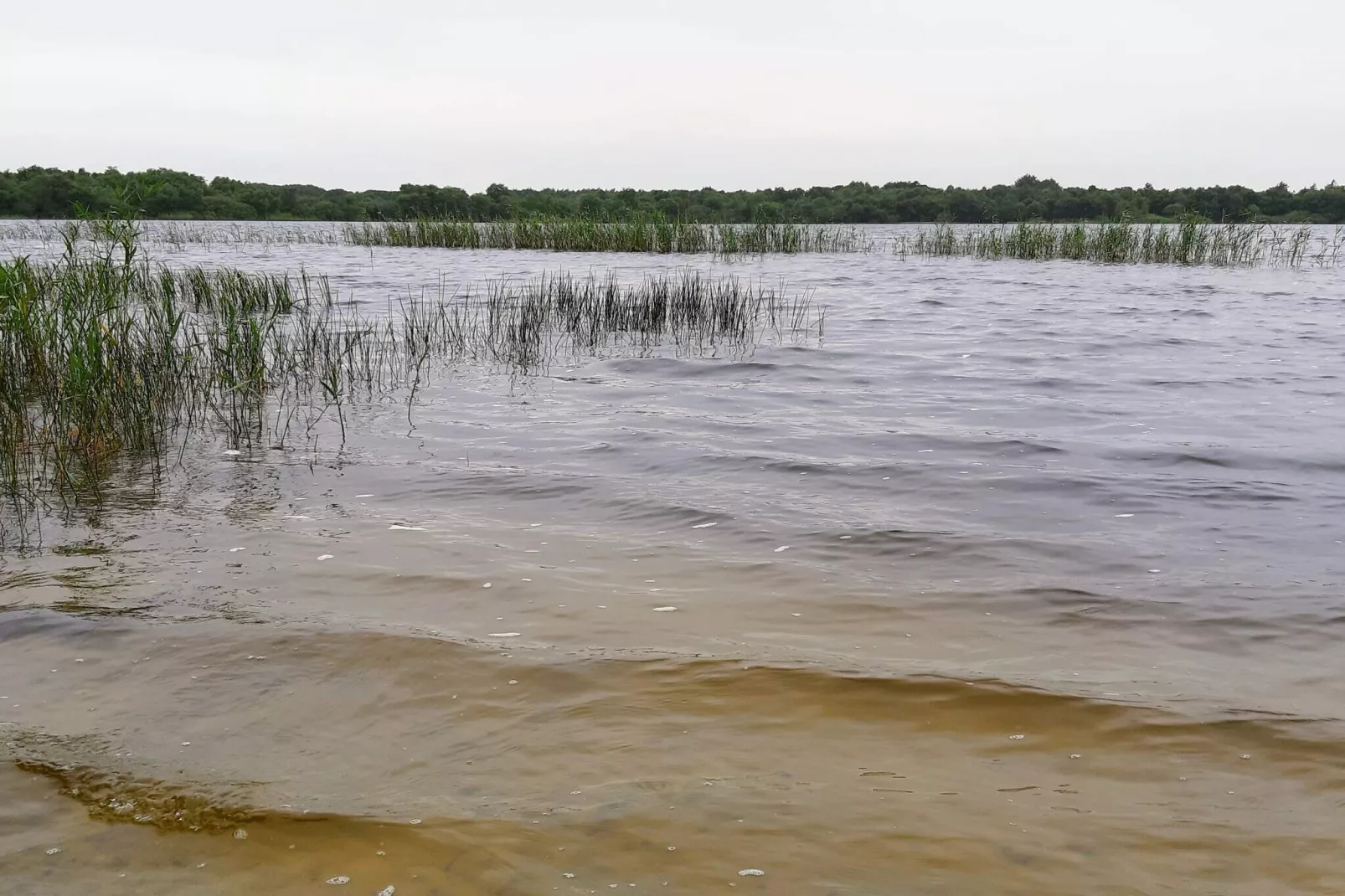 Afgelegen oase bij Kvie-meer-By Traum-Waterzicht