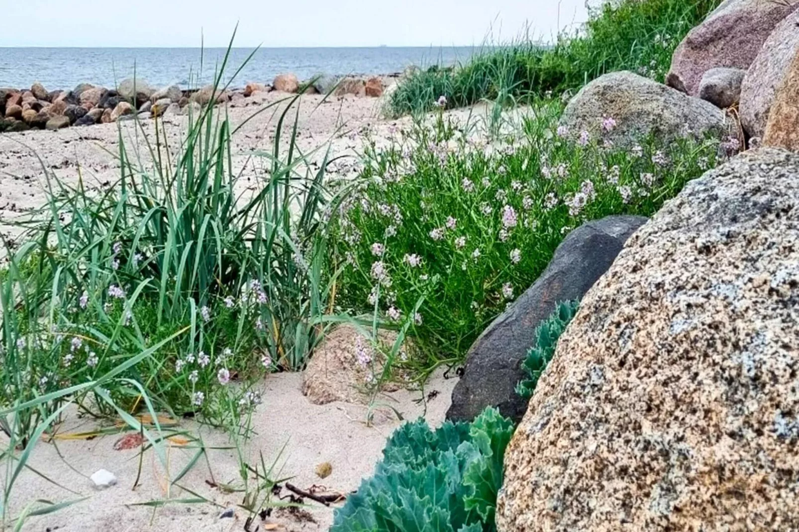 10 persoons vakantie huis in Slagelse-Waterzicht