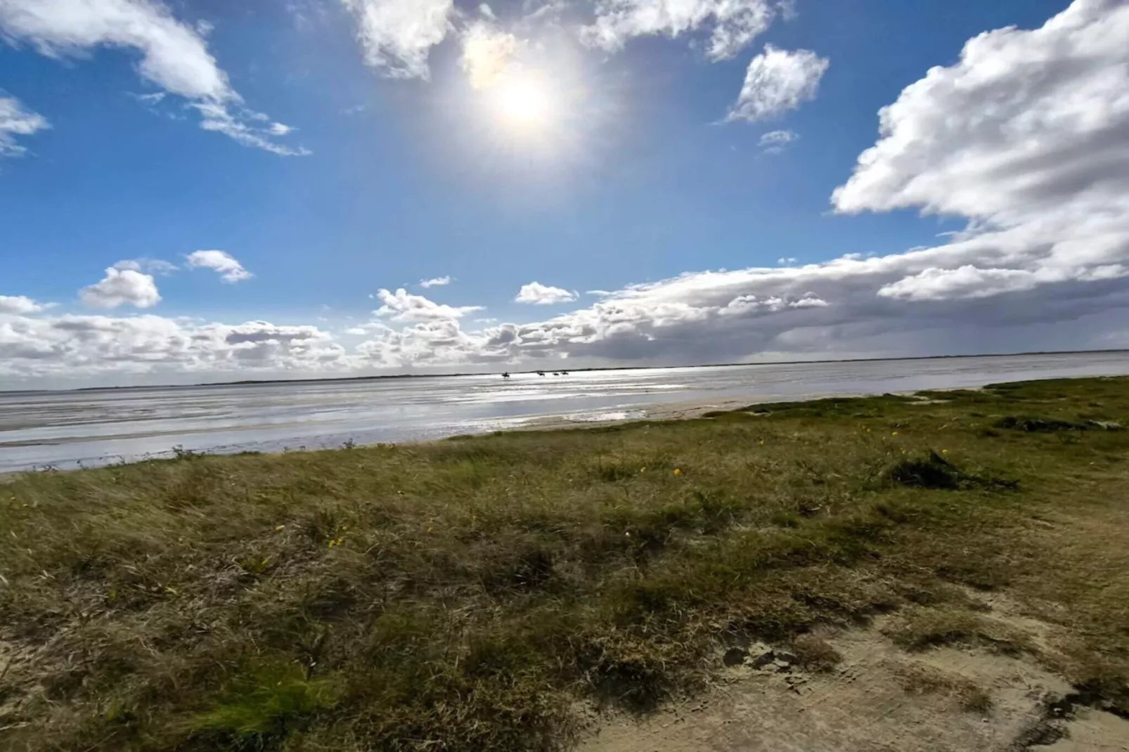 8 persoons vakantie huis in Rømø-Waterzicht