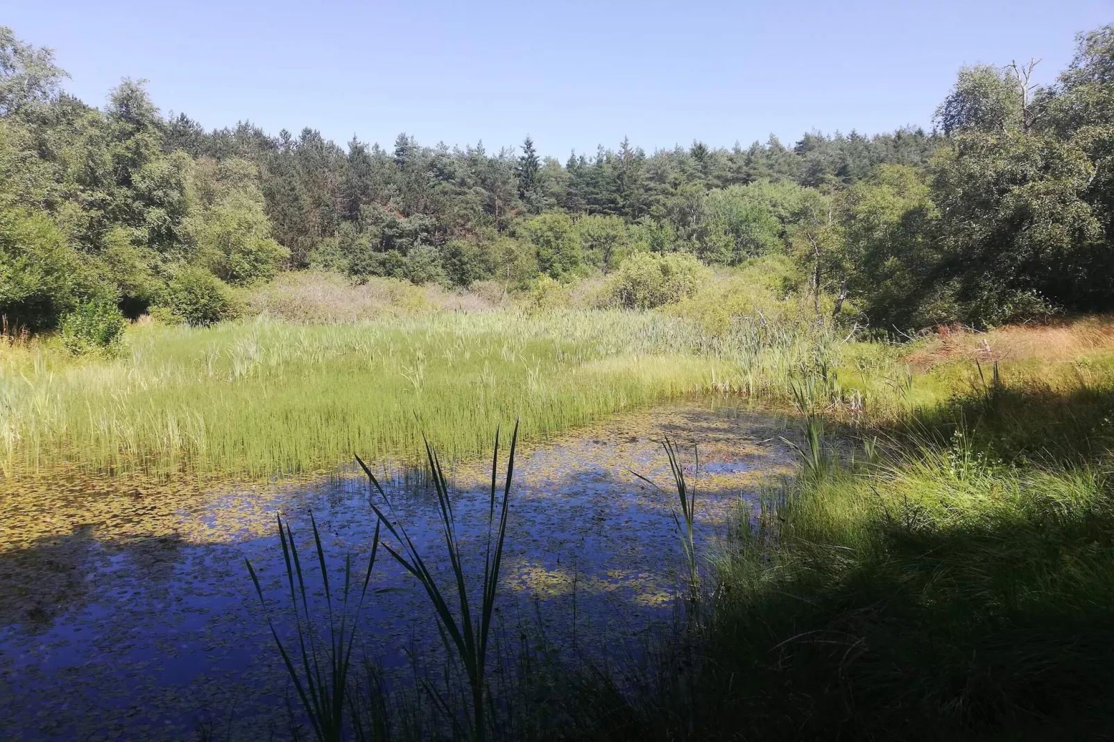 Lichte Cottage-oase in Silkeborg-By Traum-Waterzicht