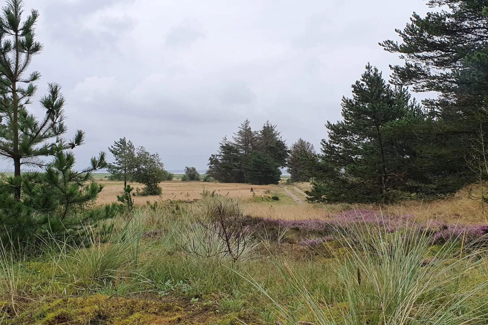 4 persoons vakantie huis in Oksbøl-Niet-getagd