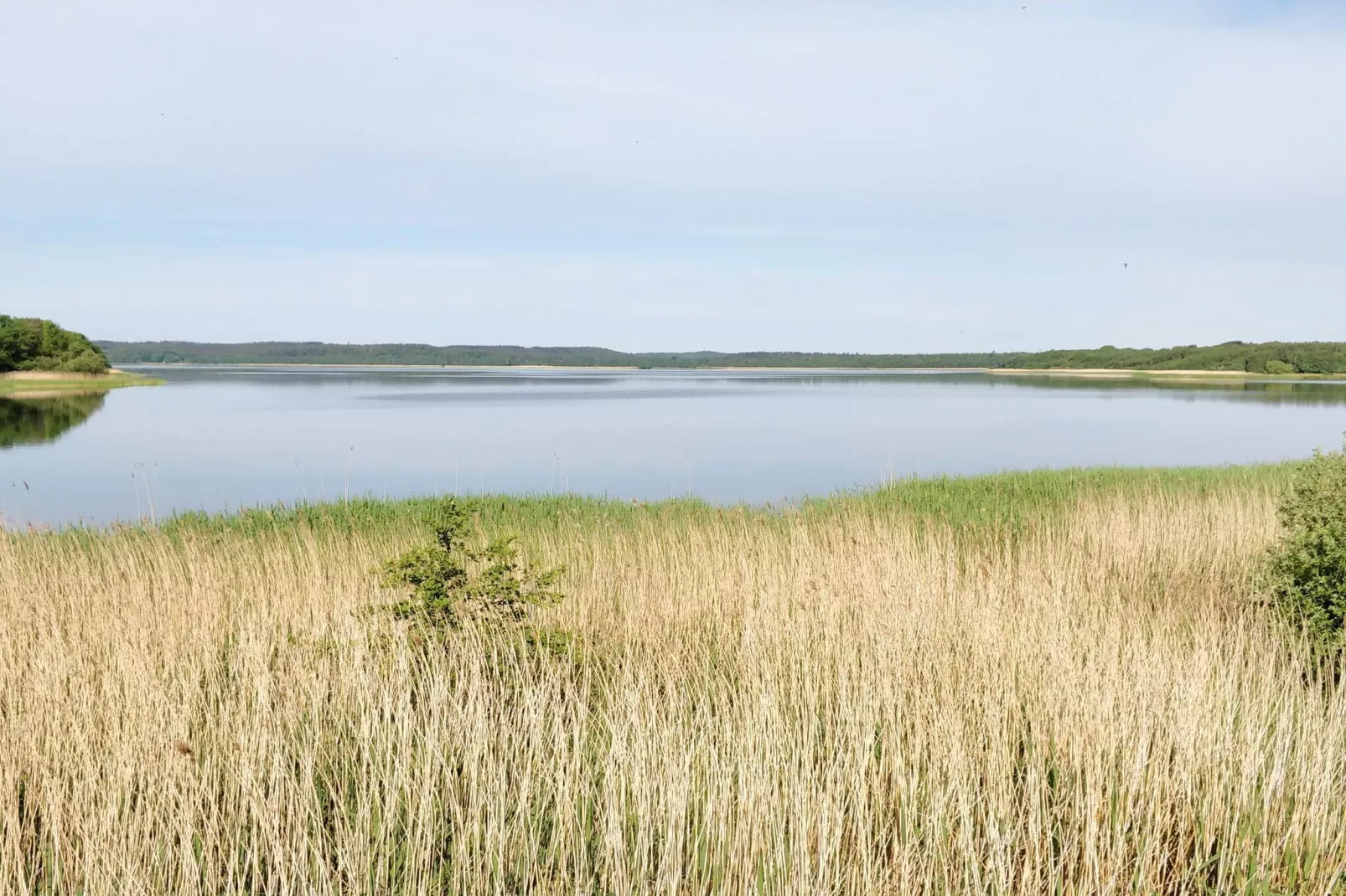 8 persoons vakantie huis in Ebeltoft-Waterzicht