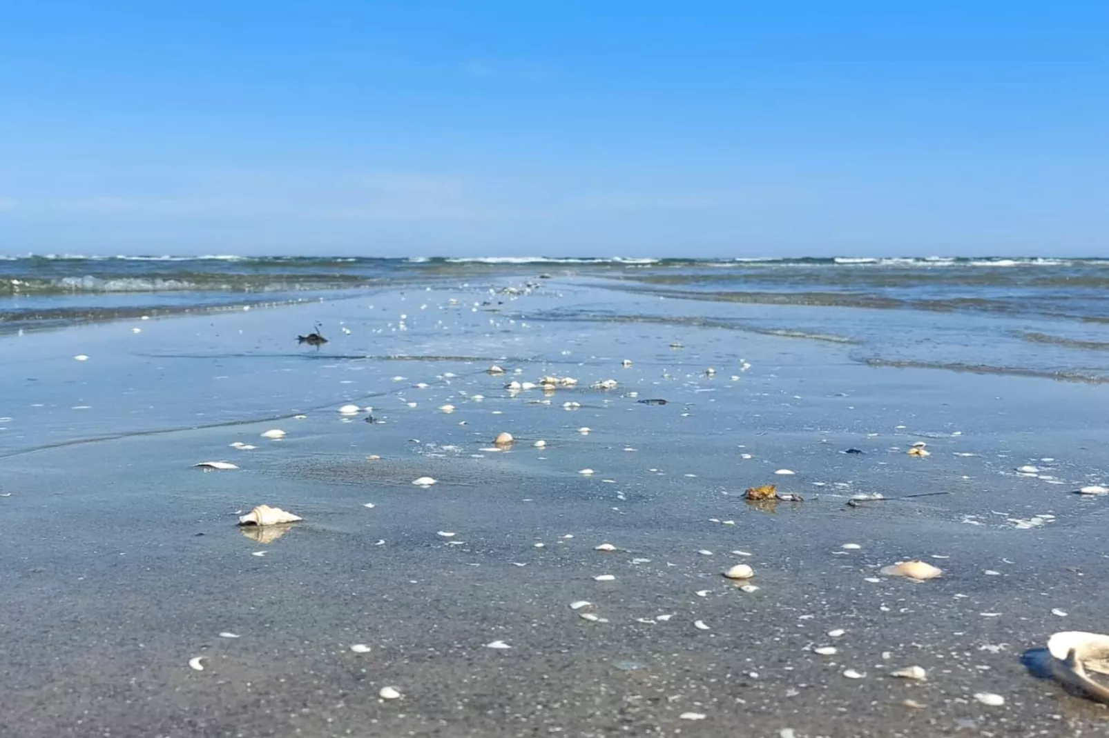 Afgelegen toevluchtsoord in Koldkaer -- By Traum Ferienwohnungen-Waterzicht