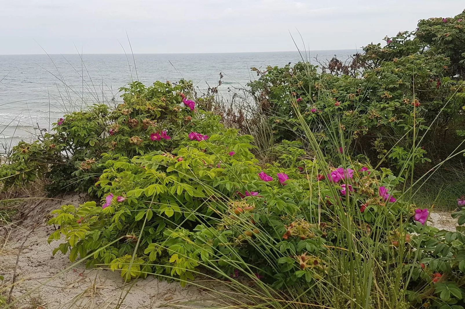 Vakantiehuis in Sæby vlakbij het strand-Waterzicht