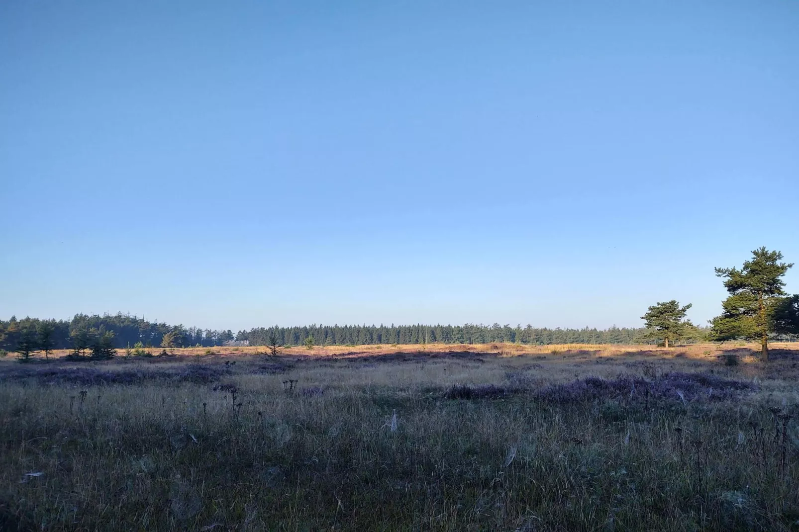 6 persoons vakantie huis in Hovborg-By Traum-Niet-getagd