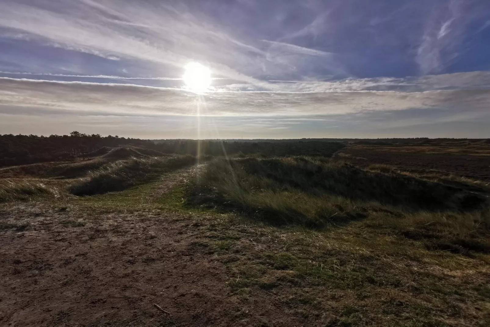 6 persoons vakantie huis in Rømø-By Traum-Niet-getagd