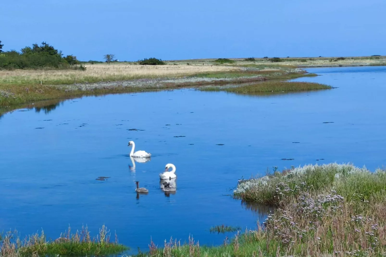 4 persoons vakantie huis in Martofte-By Traum-Waterzicht