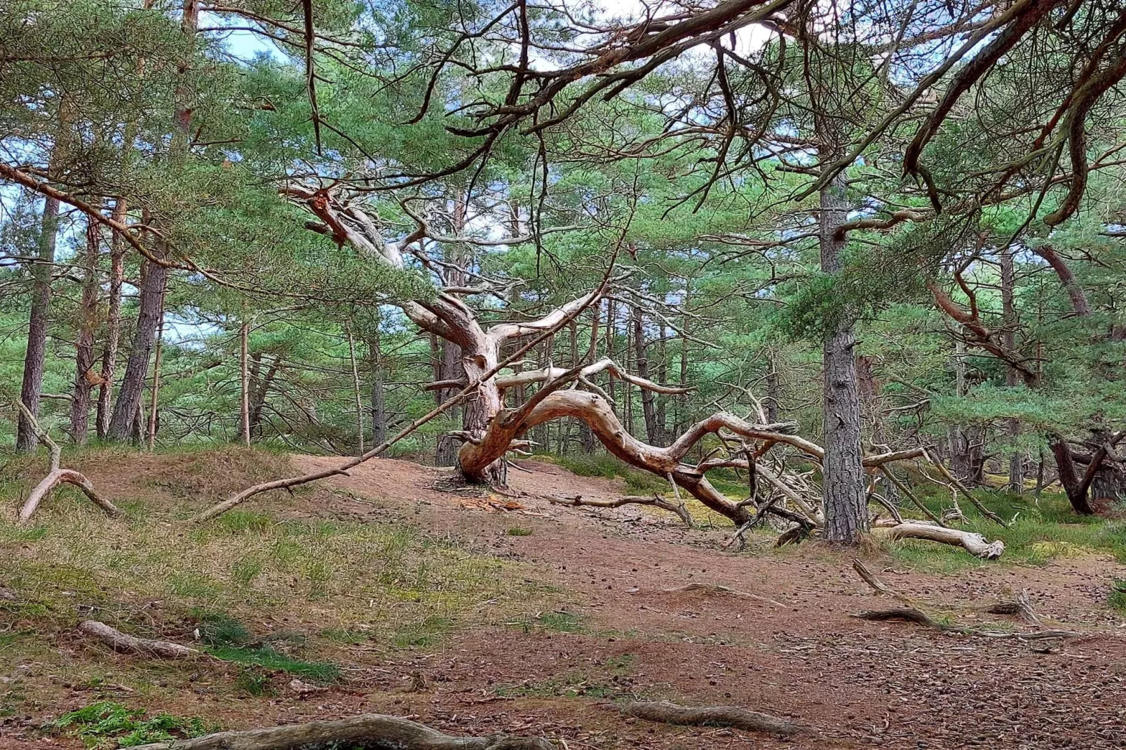 Modern huis nabij strand -- By Traum Ferienwohnungen-Niet-getagd