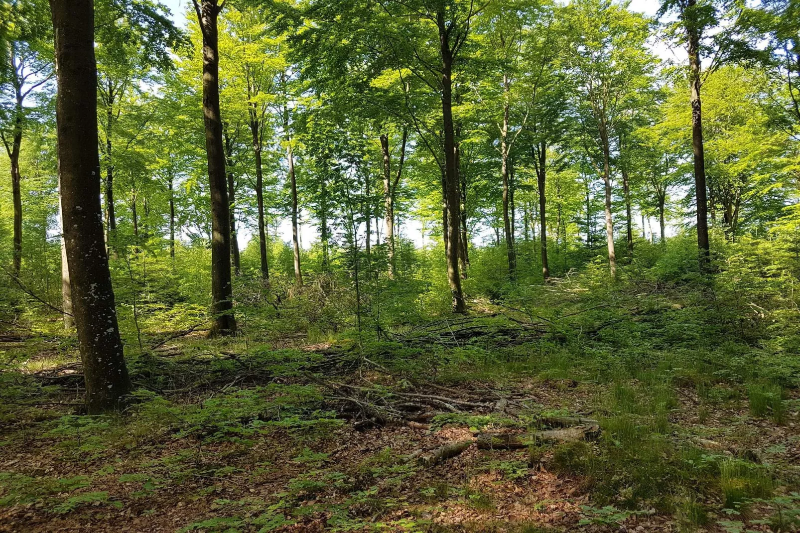 6 persoons vakantie huis in Toftlund-By Traum-Niet-getagd