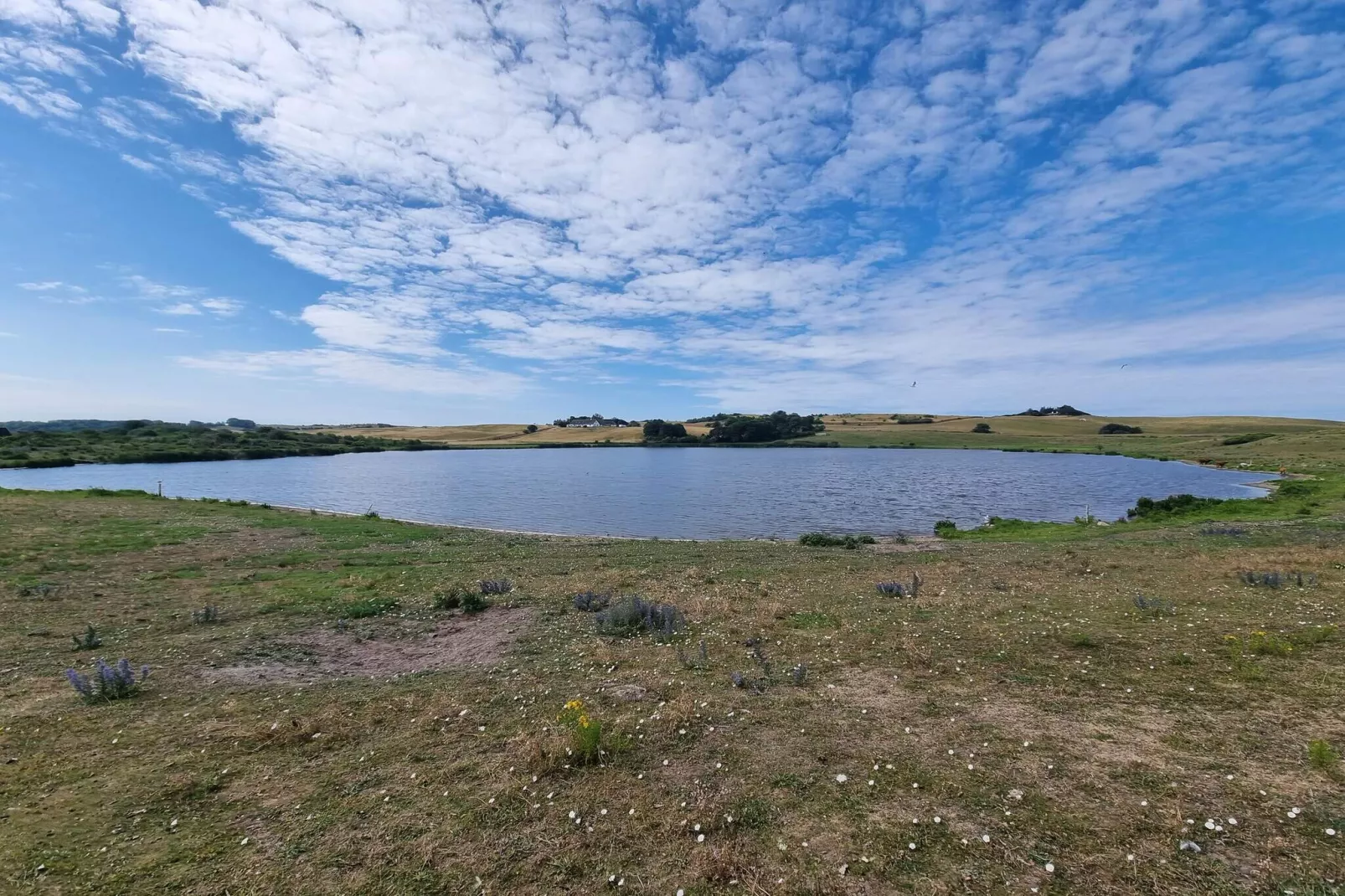 4 persoons vakantie huis in Føllenslev-By Traum-Waterzicht