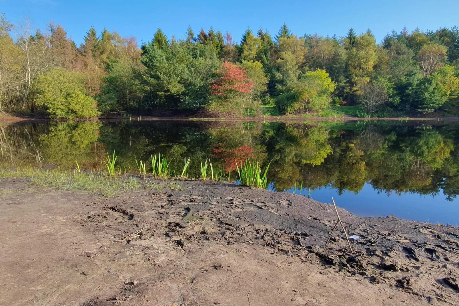 4 persoons vakantie huis in Oksbøl-By Traum-Waterzicht