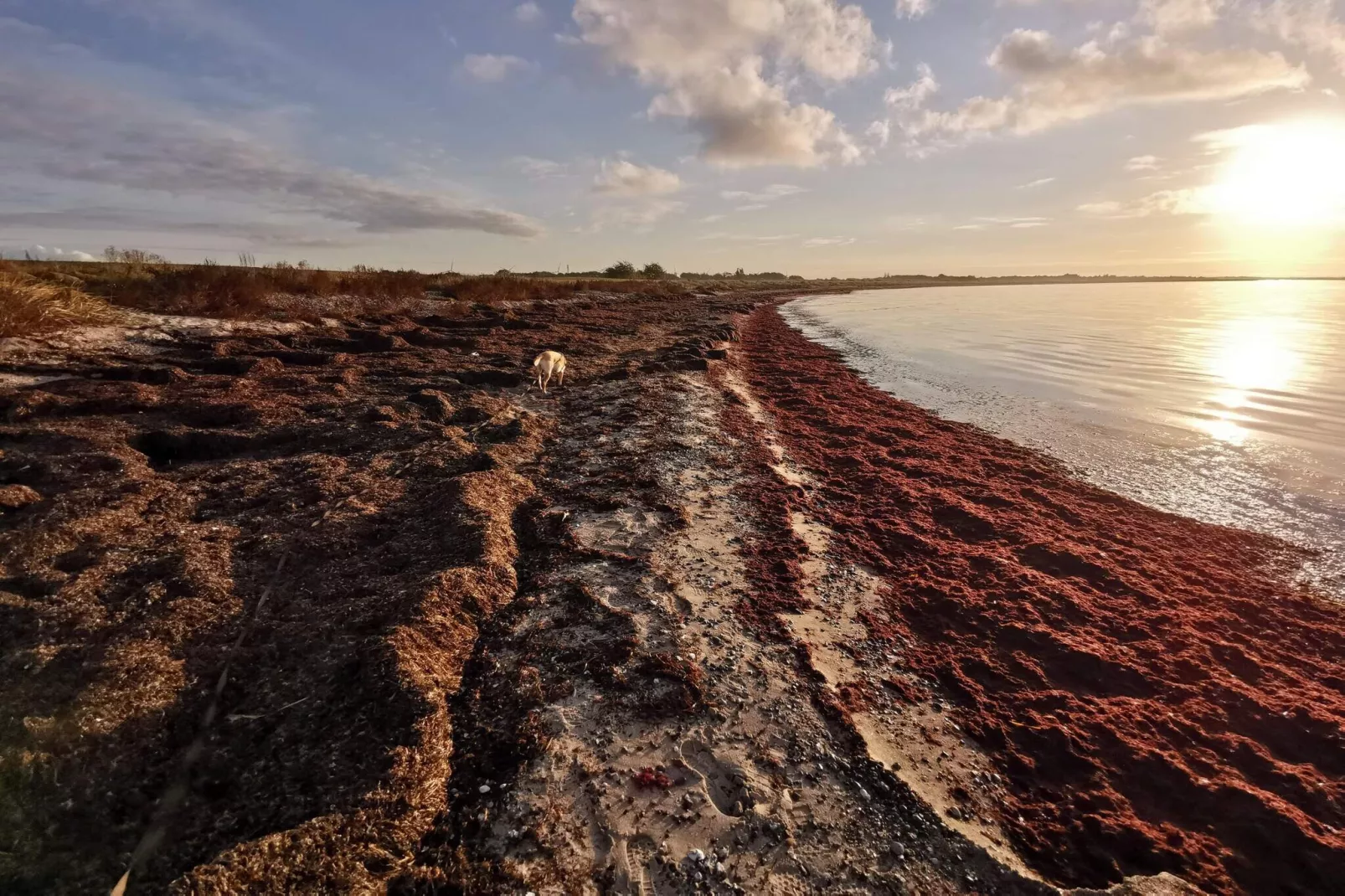 8 persoons vakantie huis in Dannemare-Waterzicht