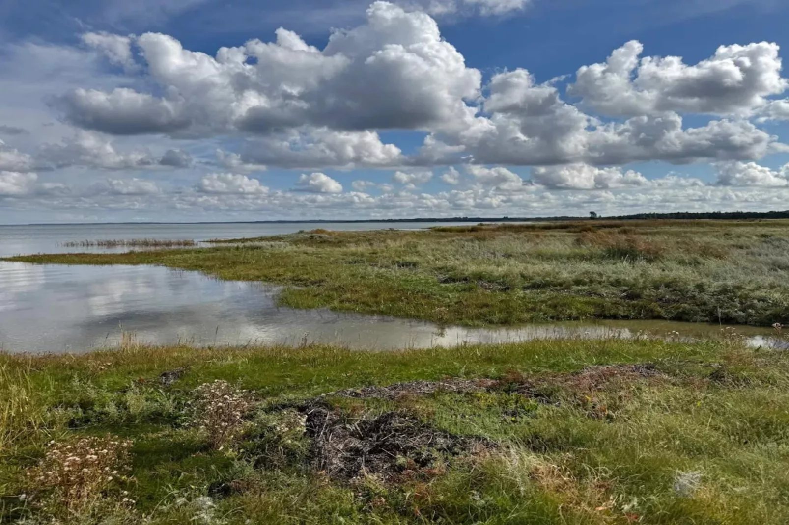 8 persoons vakantie huis in Ørsted-By Traum-Waterzicht