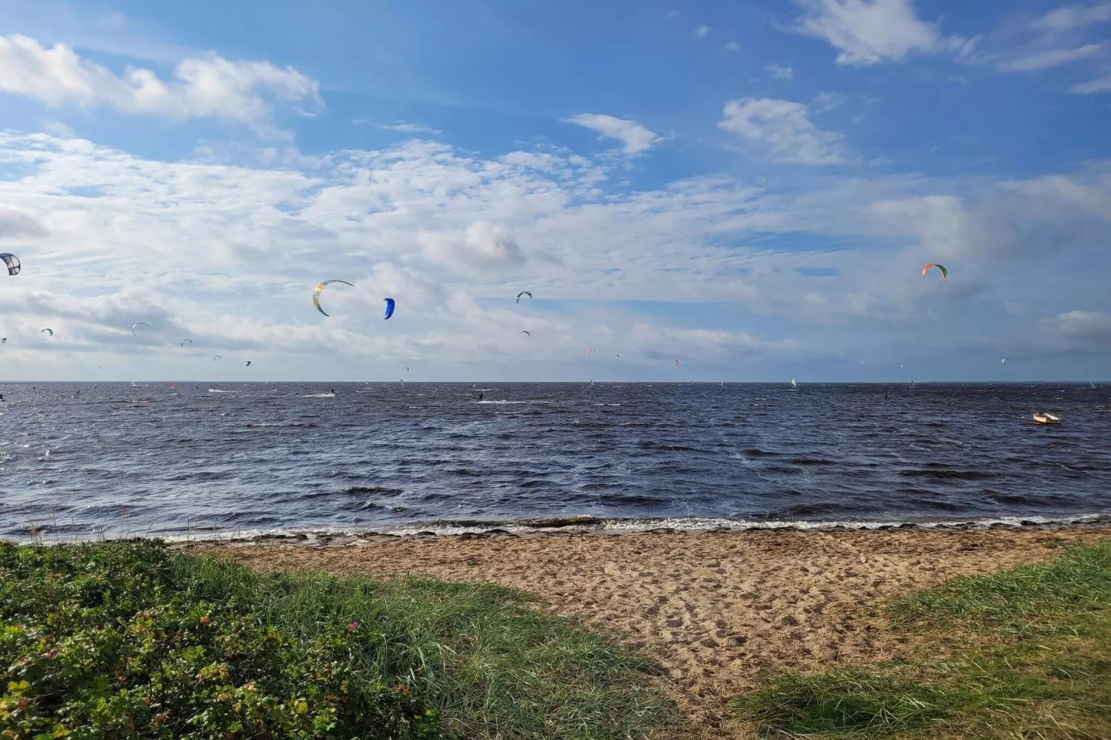Rustige oase bij fjord -- By Traum Ferienwohnungen-Waterzicht