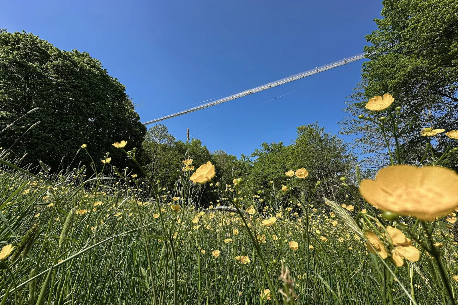Ronshausen 2-Gebieden zomer 20km