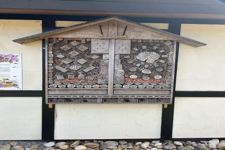 Feriendorf Waldbrunn 1-Parkfaciliteiten