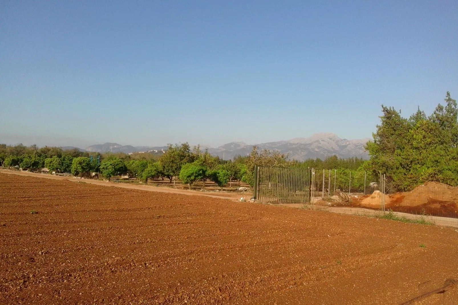 Can Serra-Gebieden zomer 5km