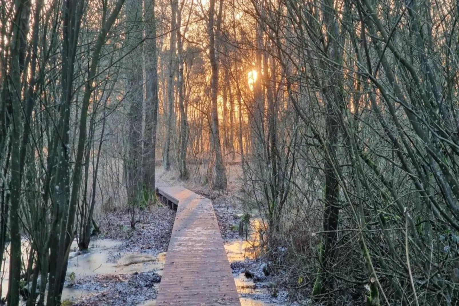 De Mattelier-Gebied winter 20km
