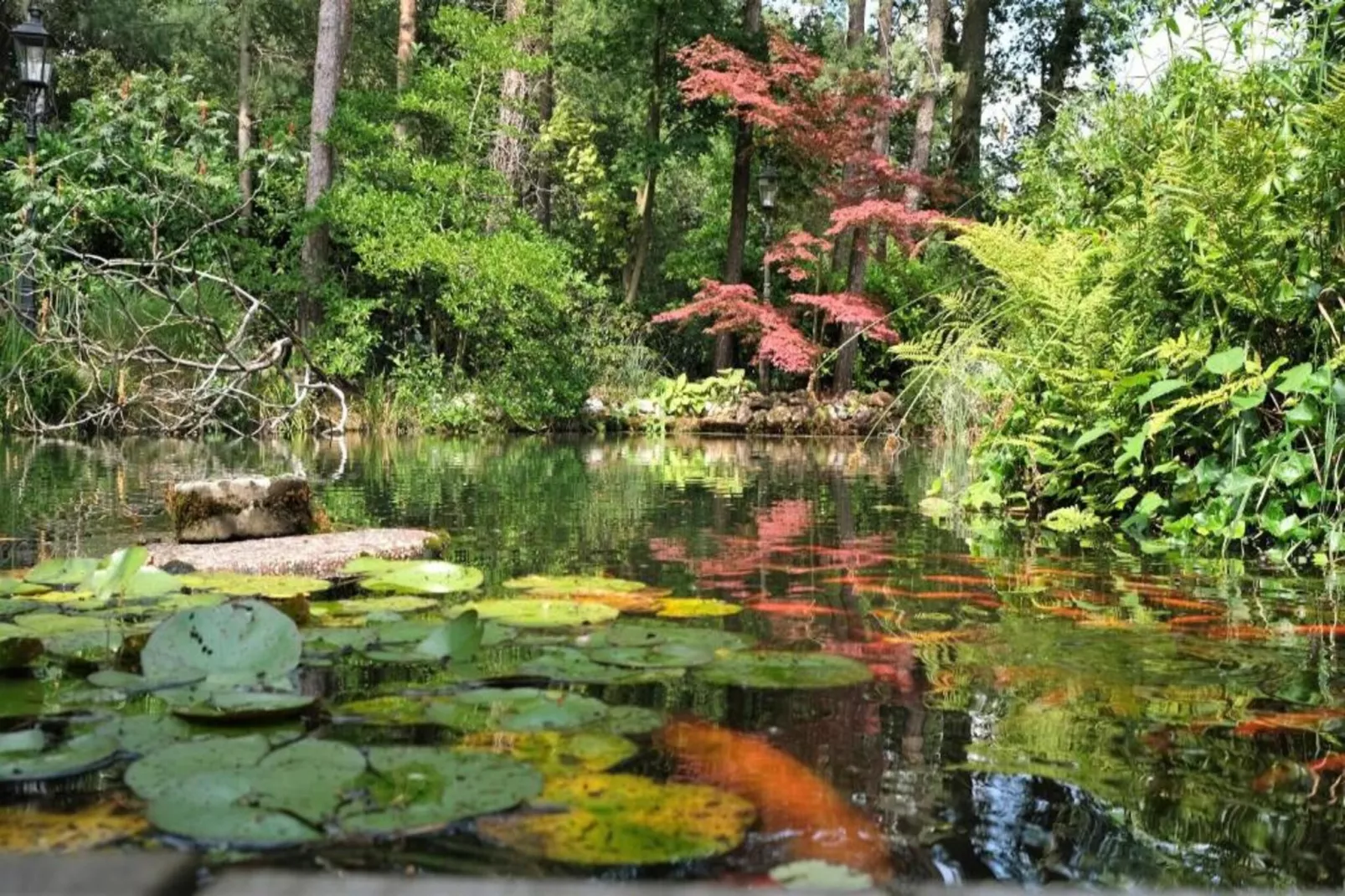 Bospark Markelo 4-Gebieden zomer 20km