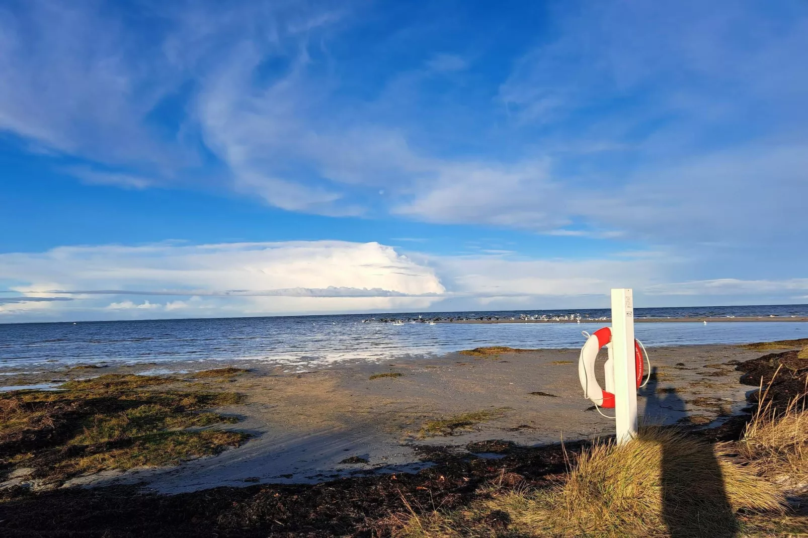 Zonnig toevluchtsoord in Bonnerup Haven-By Traum-Waterzicht