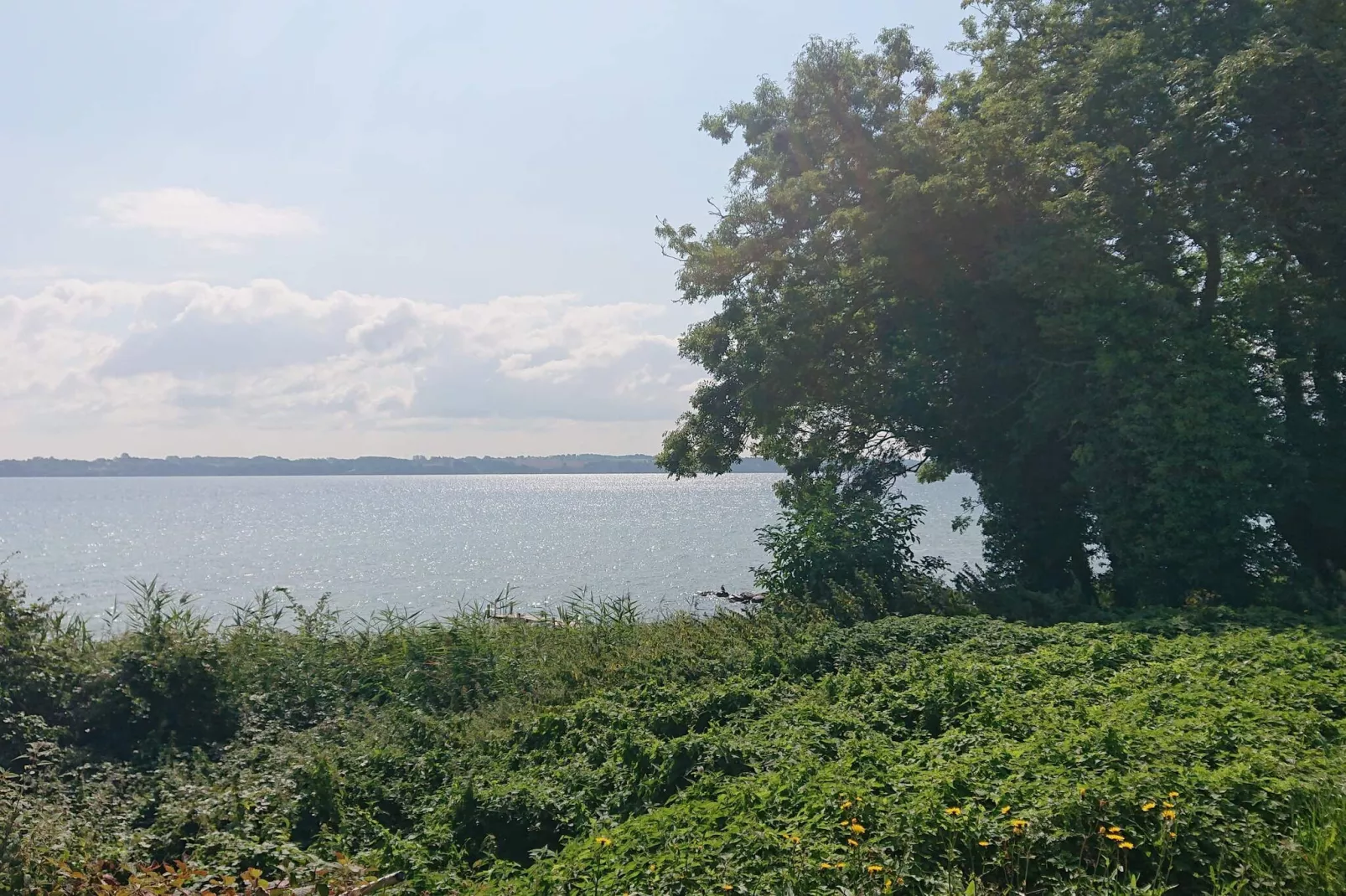 4 persoons vakantie huis in Aabenraa-By Traum-Waterzicht