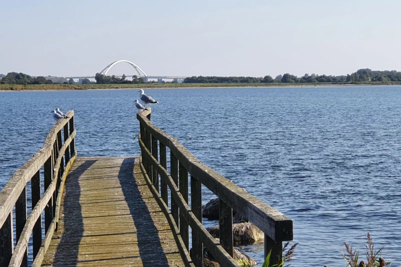 FeWo Lemk 16 1 OG-Gebieden zomer 5km
