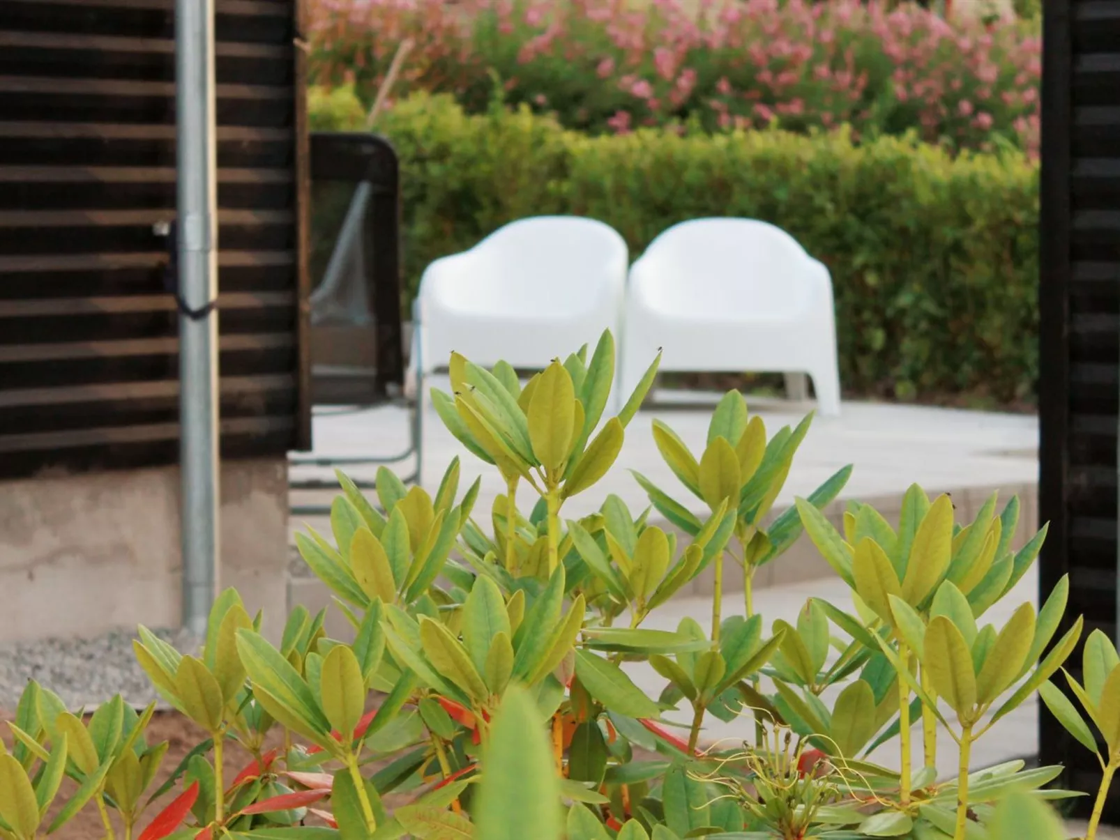 "Silka" - 250m from the sea-Buiten