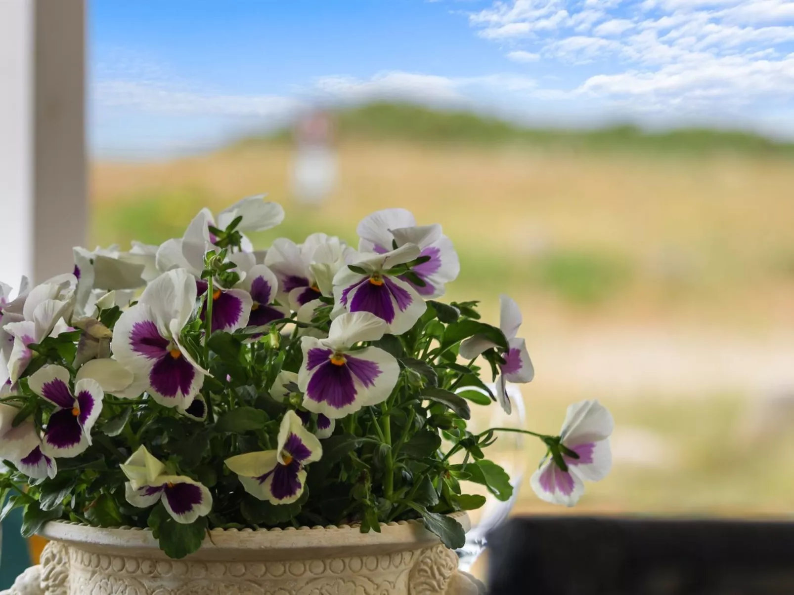 "Berndt" - 50m from the sea-Buiten