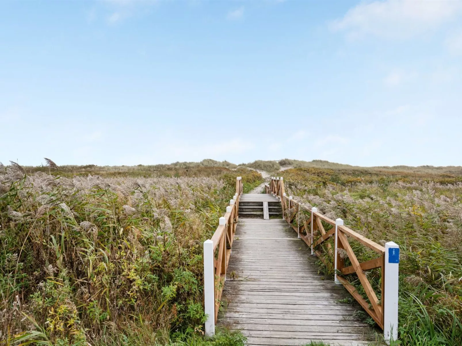 "Amaryllis" - 100m from the sea-Buiten