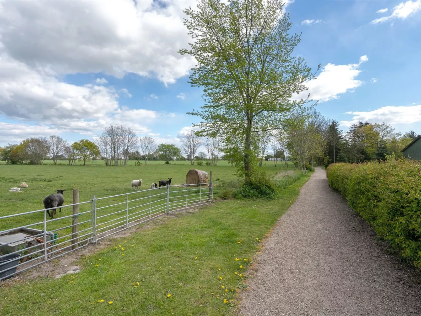 "Ilsa" - 9.8km from the sea-Buiten