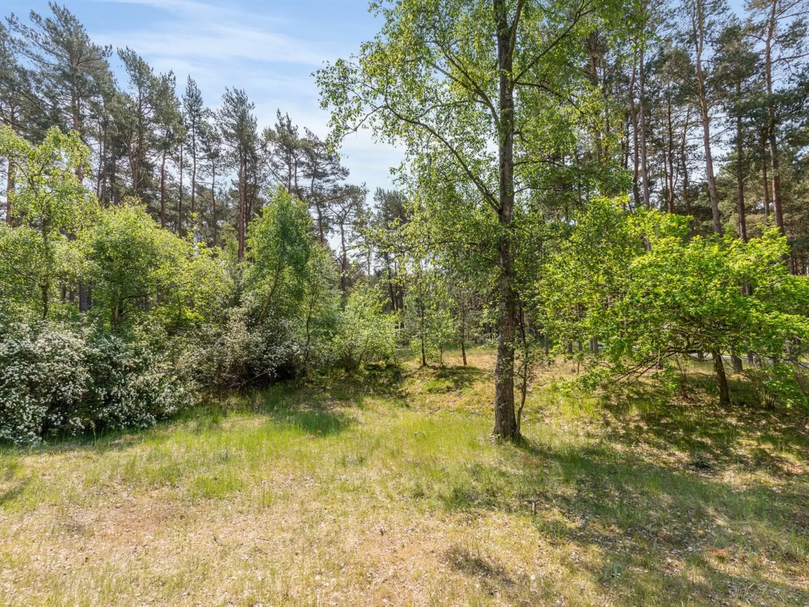 "Aave" - 800m from the sea-Buiten