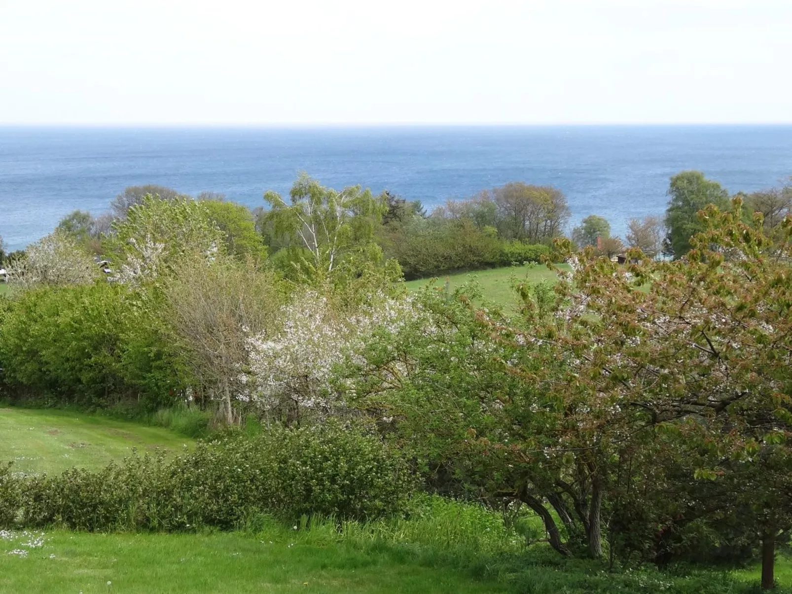 "Iikka" - 300m from the sea-Buiten