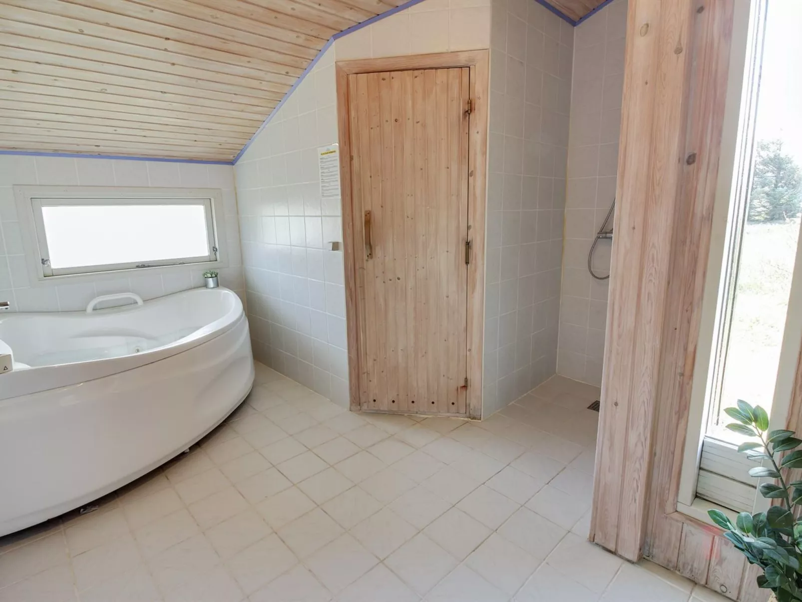 "Babo" -  from the sea-Binnen