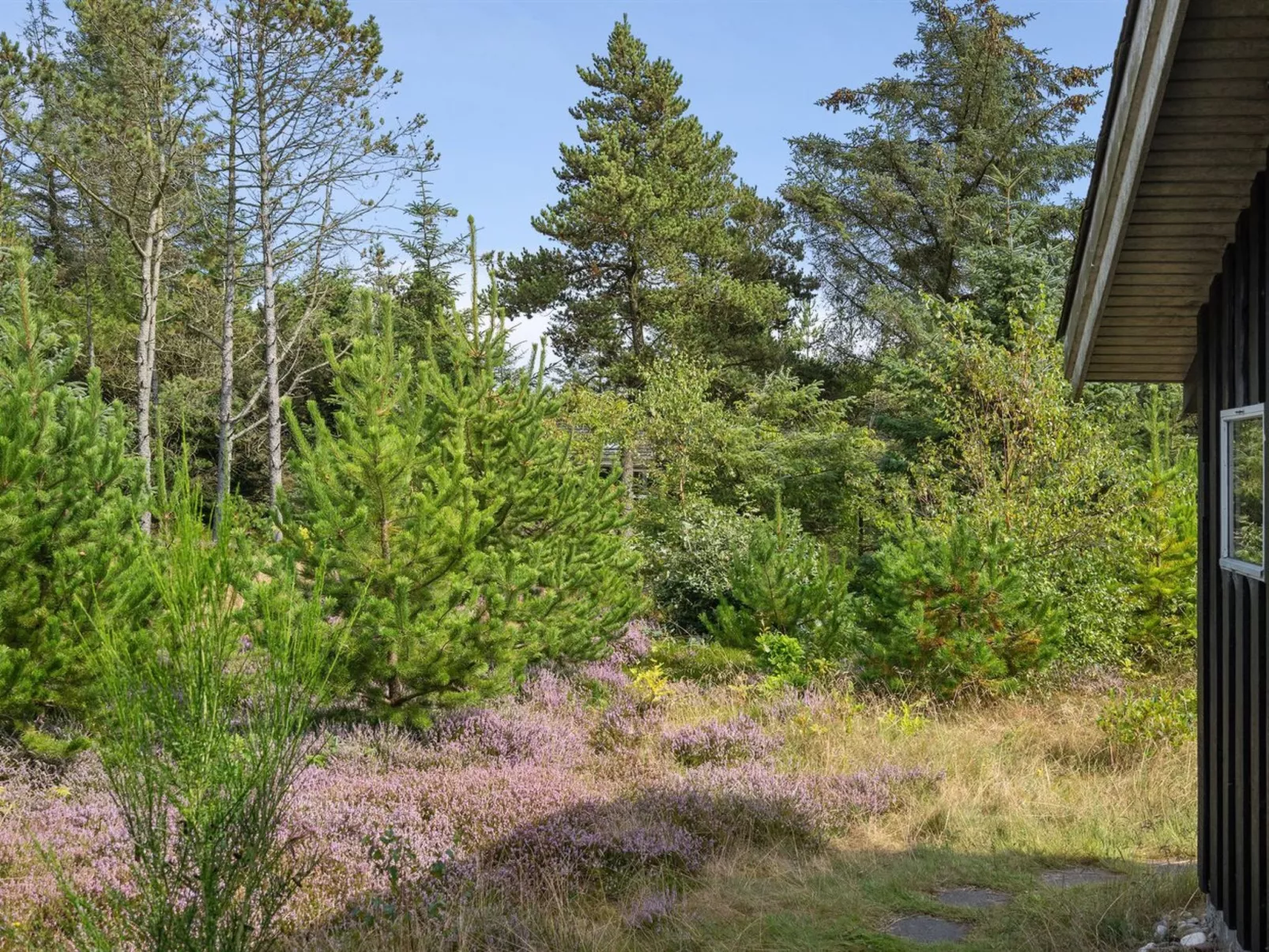 "Asmo" - 350m from the sea-Buiten