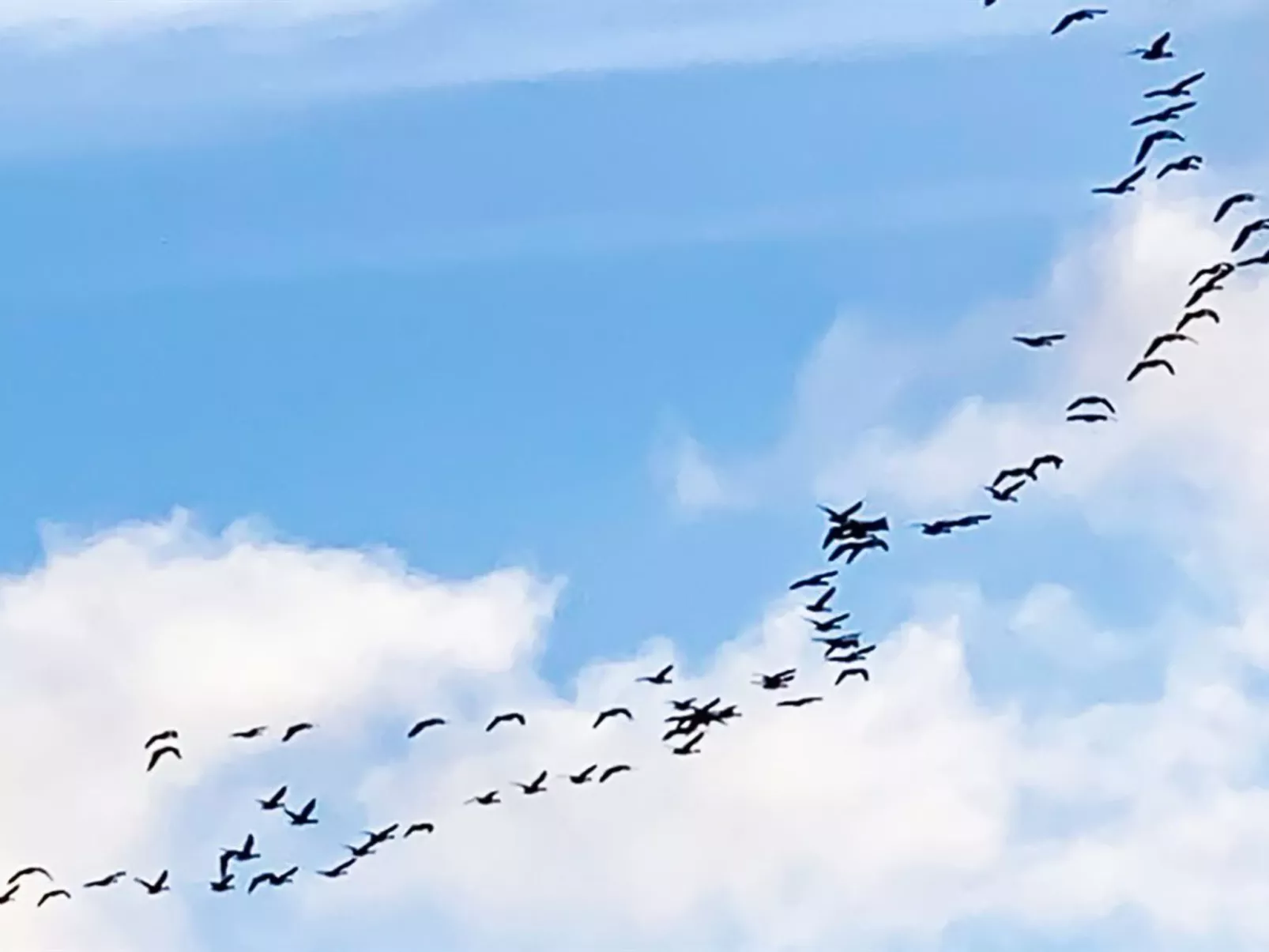 "Stacie" - 10m from the sea-Buiten