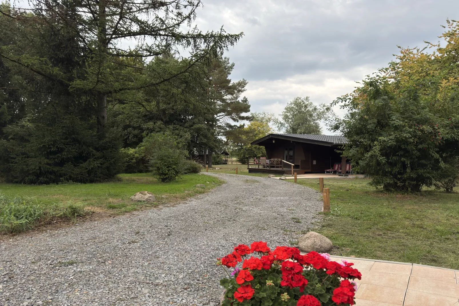 Lüneburger Heide - Uitzicht zomer