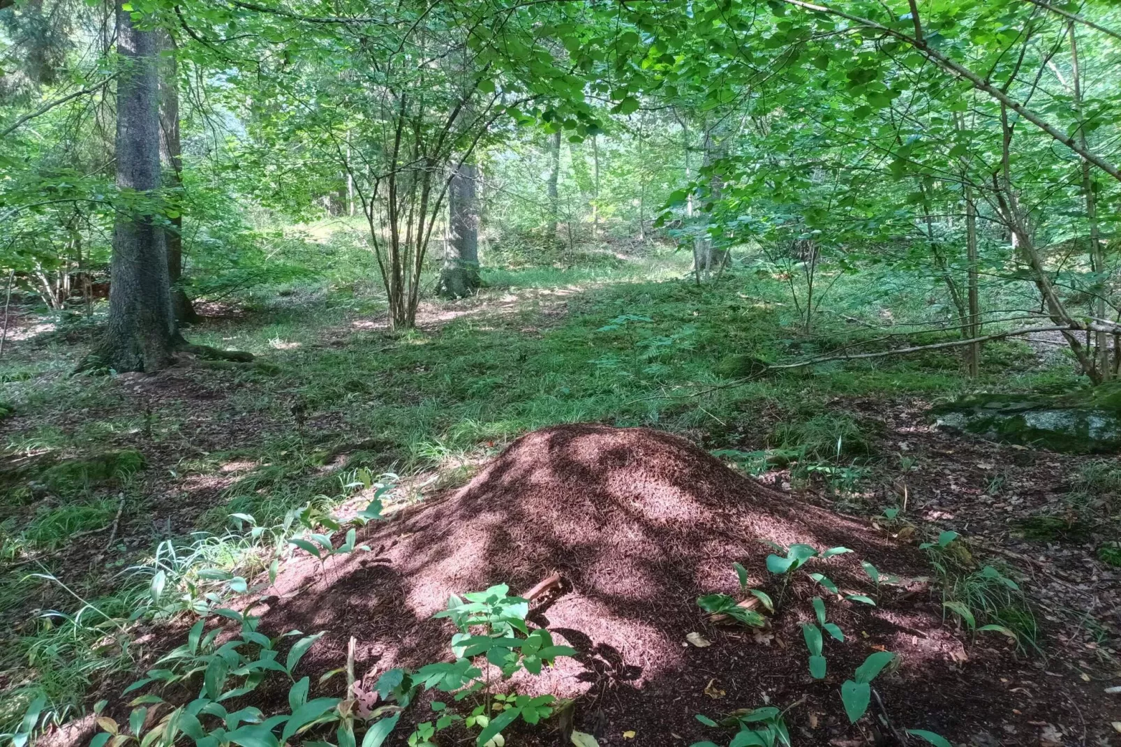 4 persoons vakantie huis in HUDDINGE-By Traum-Niet-getagd