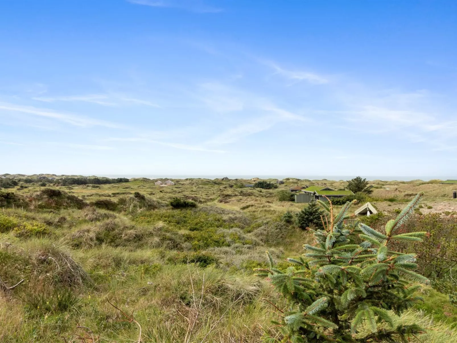 "Maini" - 600m from the sea-Buiten